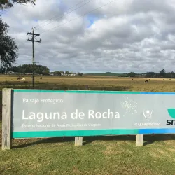 Laguna de Rocha - Rocha