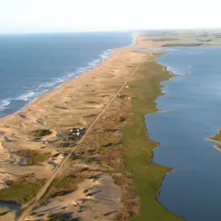 Laguna de Rocha - Rocha