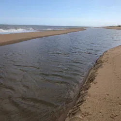 Laguna de Rocha - Rocha