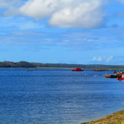 Laguna de Rocha - Rocha