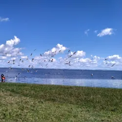 Laguna de Rocha - Rocha