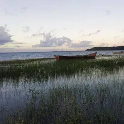 Laguna de Rocha - Rocha