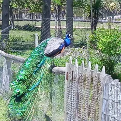 Santa Teresa National Park - Rocha