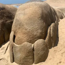 Valizas Dunes - Rocha