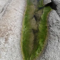 Valizas Dunes - Rocha