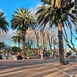 Parque Artigas - San Carlos