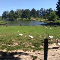 Reserva Natural de Tacuarembó - Tacuarembo