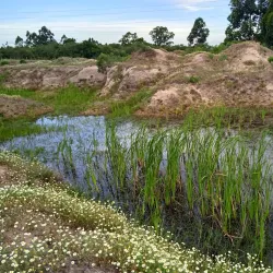 Río Olimar - Treinta y Tres