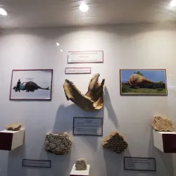 Museo Departamental de Flores - Trinidad