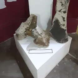 Museo Departamental de Flores - Trinidad