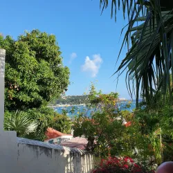 99 Steps - Charlotte Amalie