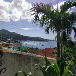 99 Steps - Charlotte Amalie