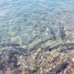 Christiansted Boardwalk - Christiansted