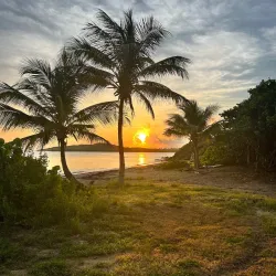 Salt River Bay National Historical Park and Ecological Preserve - Christiansted