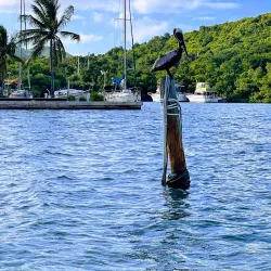 Salt River Bay National Historical Park and Ecological Preserve - Christiansted