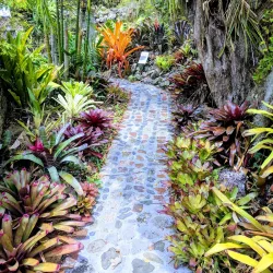 St. George Village Botanical Garden - Christiansted