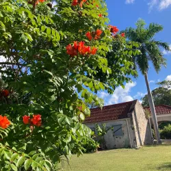 St. George Village Botanical Garden - Christiansted
