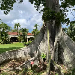 St. George Village Botanical Garden - Christiansted