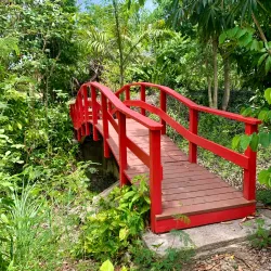 St. George Village Botanical Garden - Christiansted