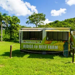 The Great House Museum - Christiansted