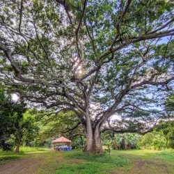The Great House Museum - Christiansted