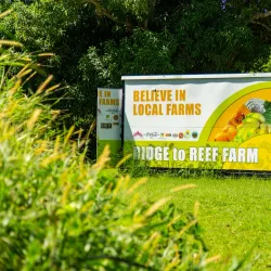 The Great House Museum - Christiansted