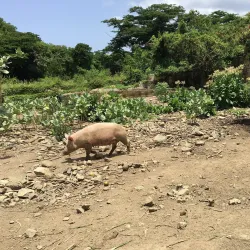 The Great House Museum - Christiansted