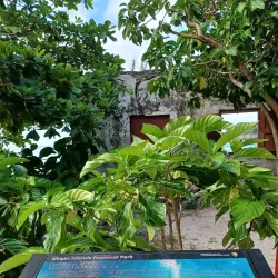 Cinnamon Bay Beach and Campground - Cruz Bay
