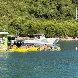 Lime Out Restaurant & Bar - Cruz Bay