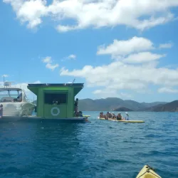 Lime Out Restaurant & Bar - Cruz Bay