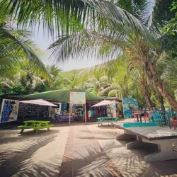 Maho Bay Beach - Cruz Bay