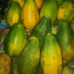 Frederiksted Farmers Market - Frederiksted