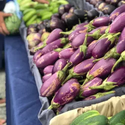 Frederiksted Farmers Market - Frederiksted