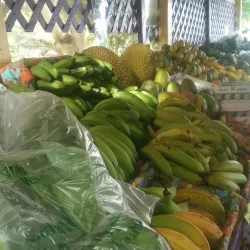 Frederiksted Farmers Market - Frederiksted