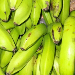 Frederiksted Farmers Market - Frederiksted