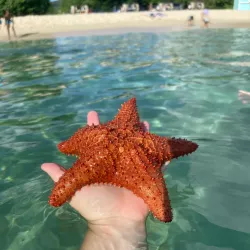 Rainbow Beach - Frederiksted