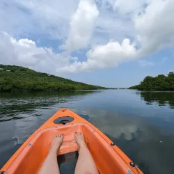 Salt River Bay National Historical Park and Ecological Preserve - Frederiksted