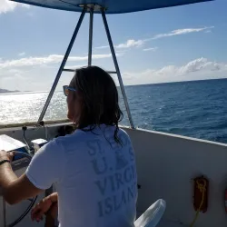 The Green Cay National Wildlife Refuge - Frederiksted