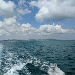 The Green Cay National Wildlife Refuge - Frederiksted