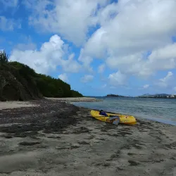 The Green Cay National Wildlife Refuge - Frederiksted