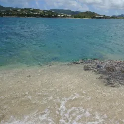 The Green Cay National Wildlife Refuge - Frederiksted