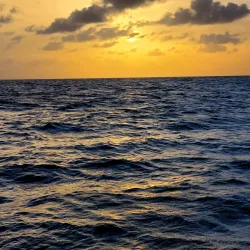 The Green Cay National Wildlife Refuge - Frederiksted