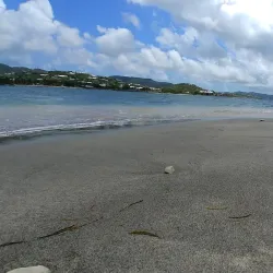 The Green Cay National Wildlife Refuge - Frederiksted