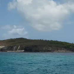 The Green Cay National Wildlife Refuge - Frederiksted