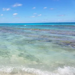 The Green Cay National Wildlife Refuge - Frederiksted