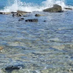 The Green Cay National Wildlife Refuge - Frederiksted