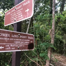 Lind Point Trail - St John