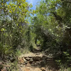 Lind Point Trail - St John