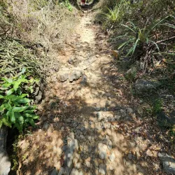 Lind Point Trail - St John