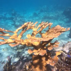 Salt Pond Bay - St John